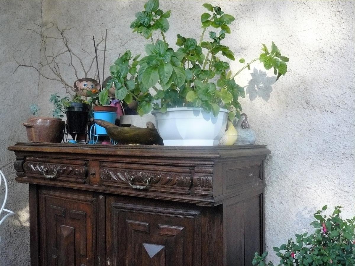 Chez Camille Bed & Breakfast Etrigny Dış mekan fotoğraf
